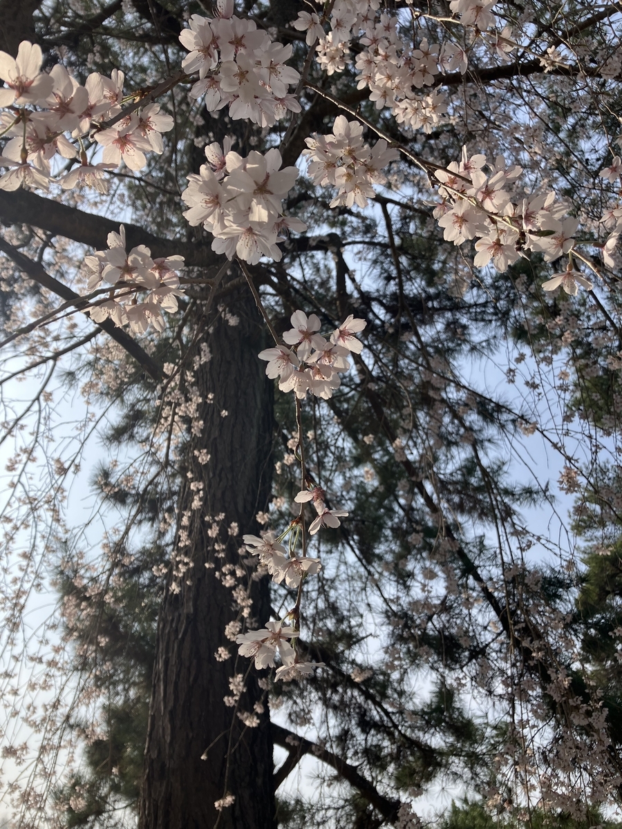 酒づくり大学29期生の募集に関して