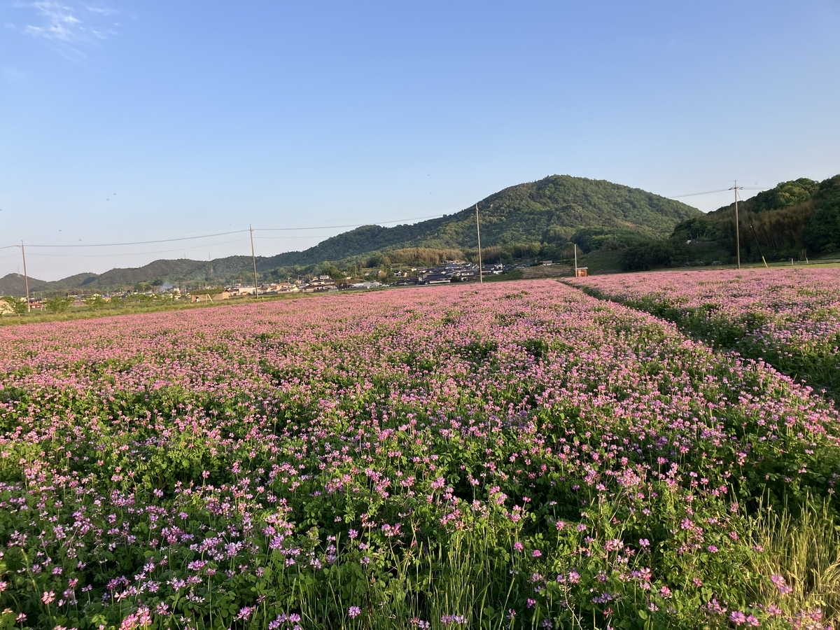 GW期間中の営業日のおしらせ